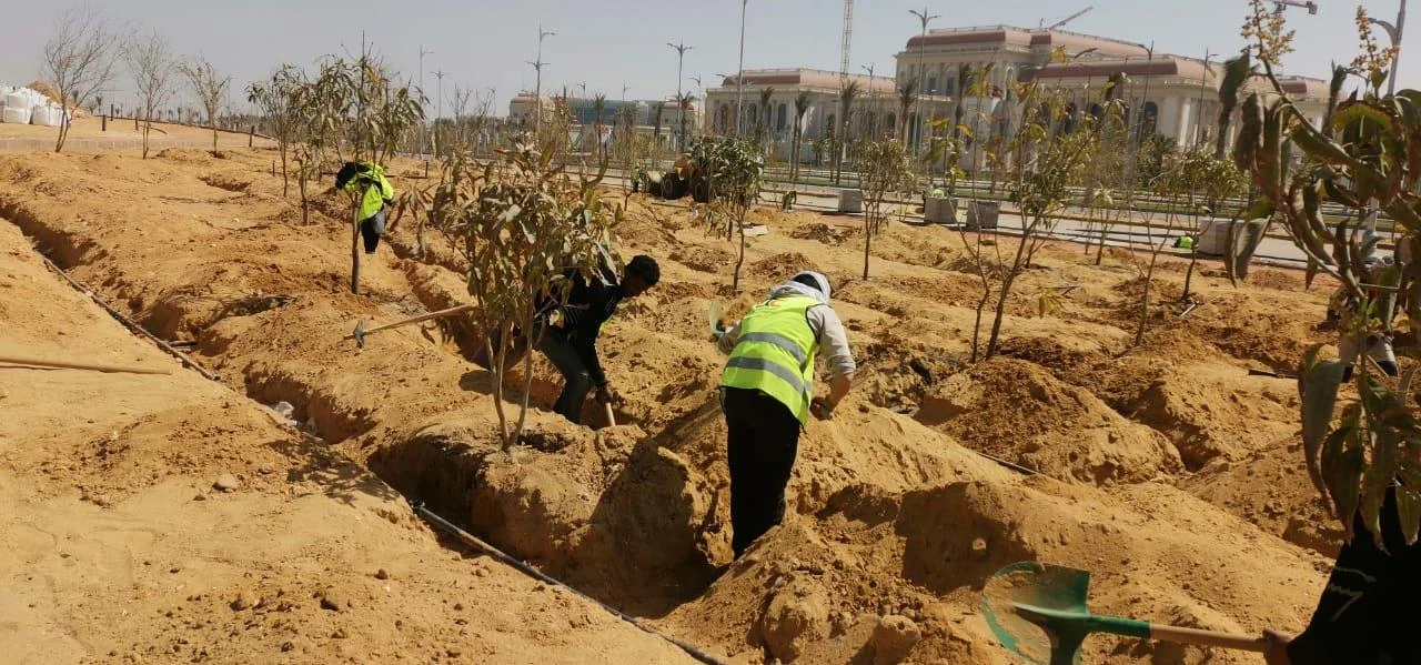 ممشى العاصمة - Capital Walk - صورة من التنفيذ